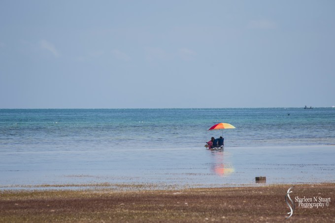 Feel the sun on your face