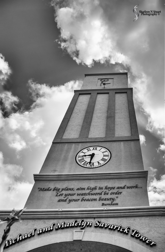 Make big plans, aim high in hope and work.... Let your watchword be order and your beacon beauty ~ Burnham