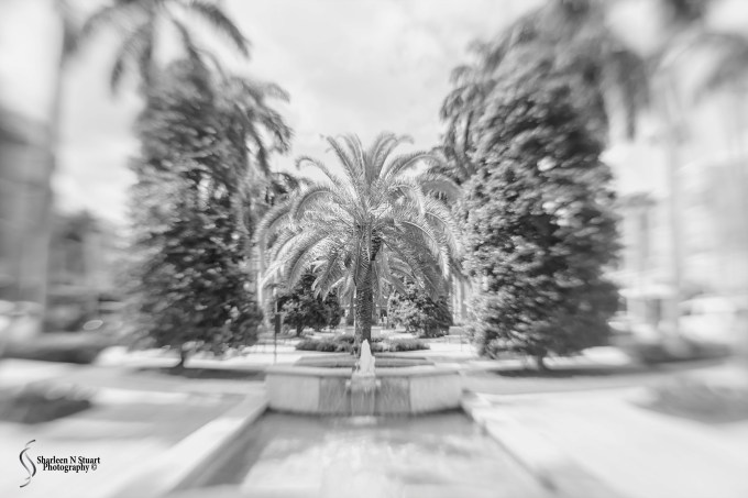 When I go out I try to take a couple of images with my Lensbaby sweet 35.