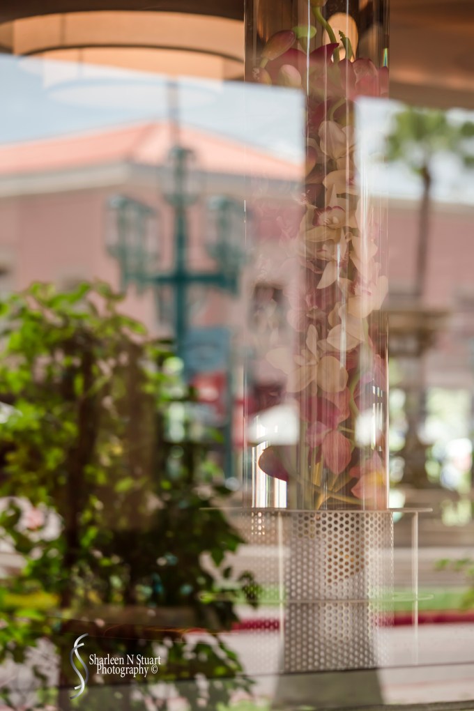 Reflections in the window