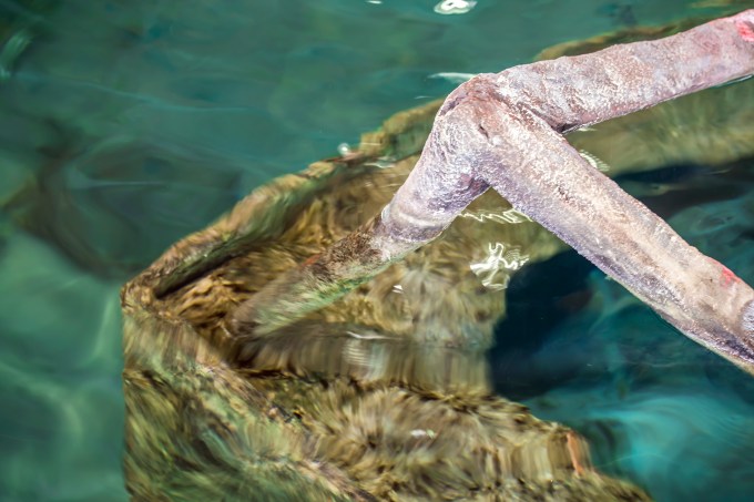 Inside one of the tanks