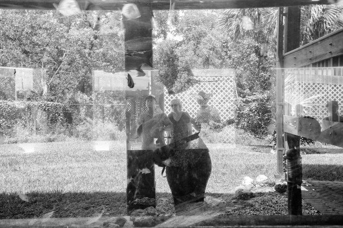 Sea Life rehabilitation center