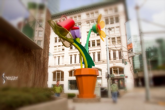 Practicing with the Lensbaby Sweet 35