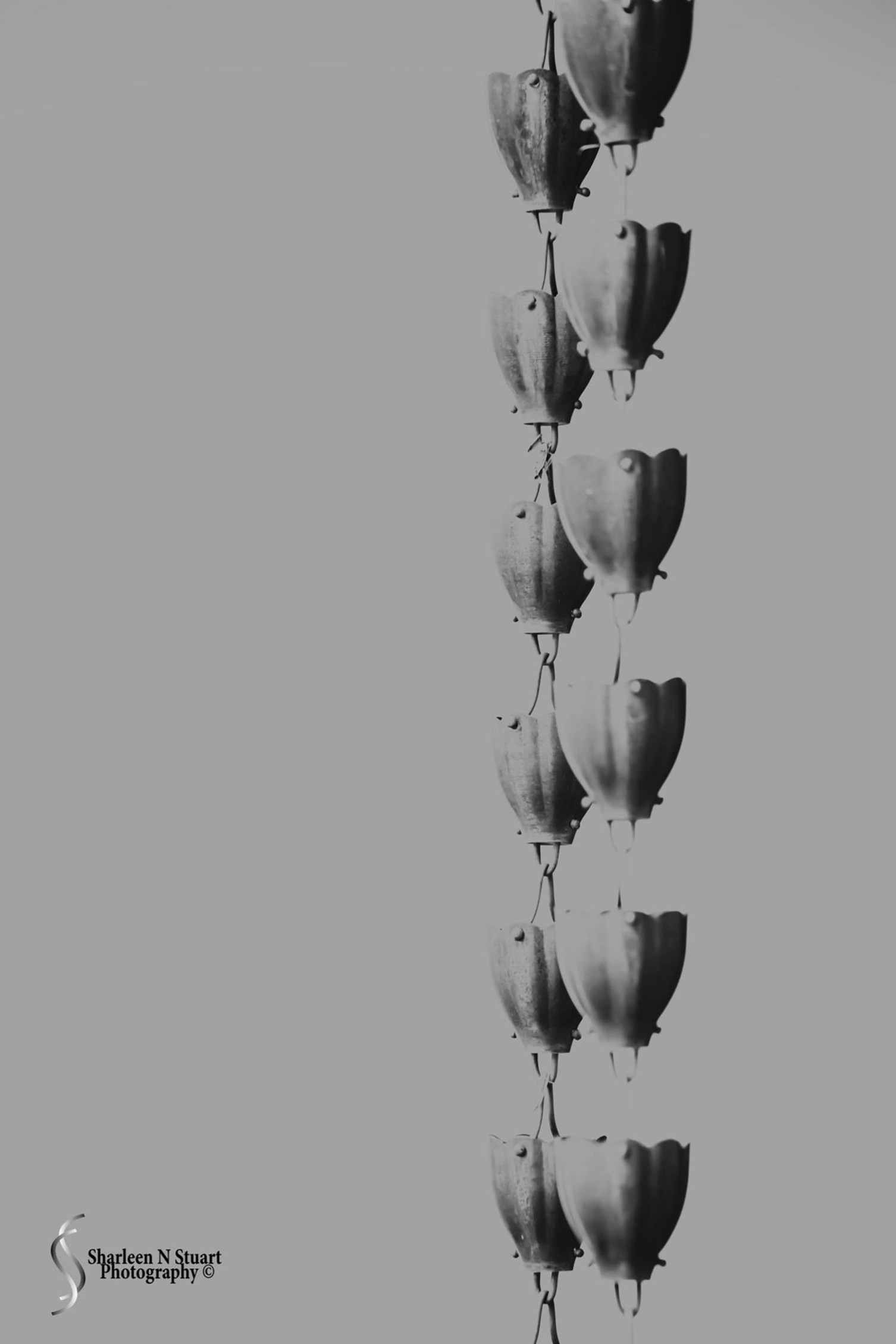 13582106_1834551510100309_2551605677859766095_o