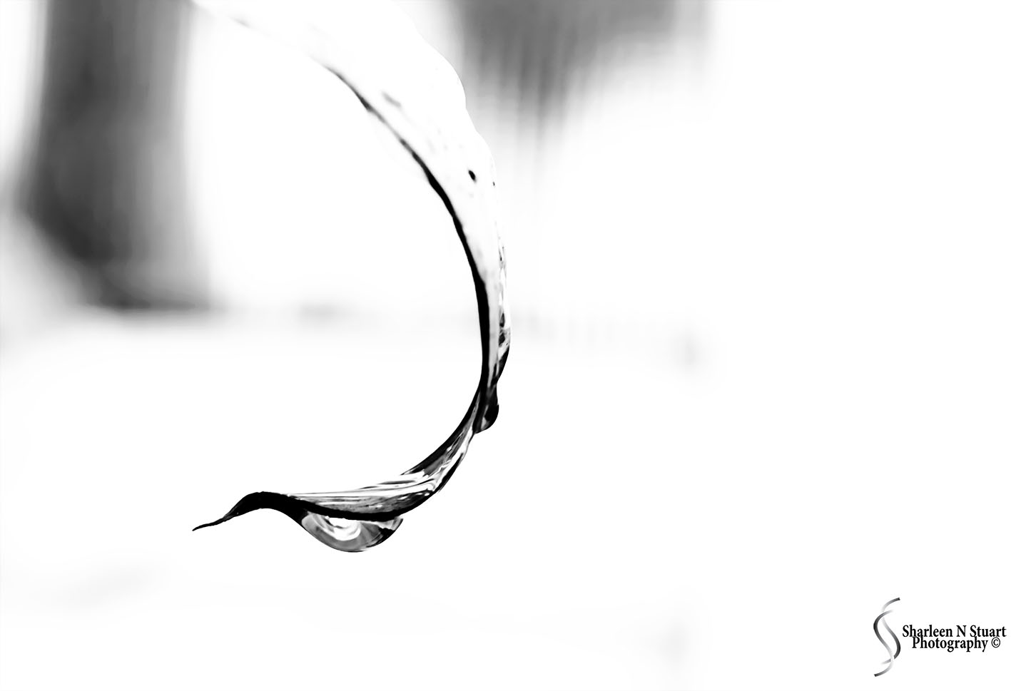 Waterdrop in Silhouette