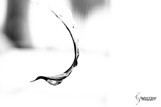 Waterdrop in Silhouette