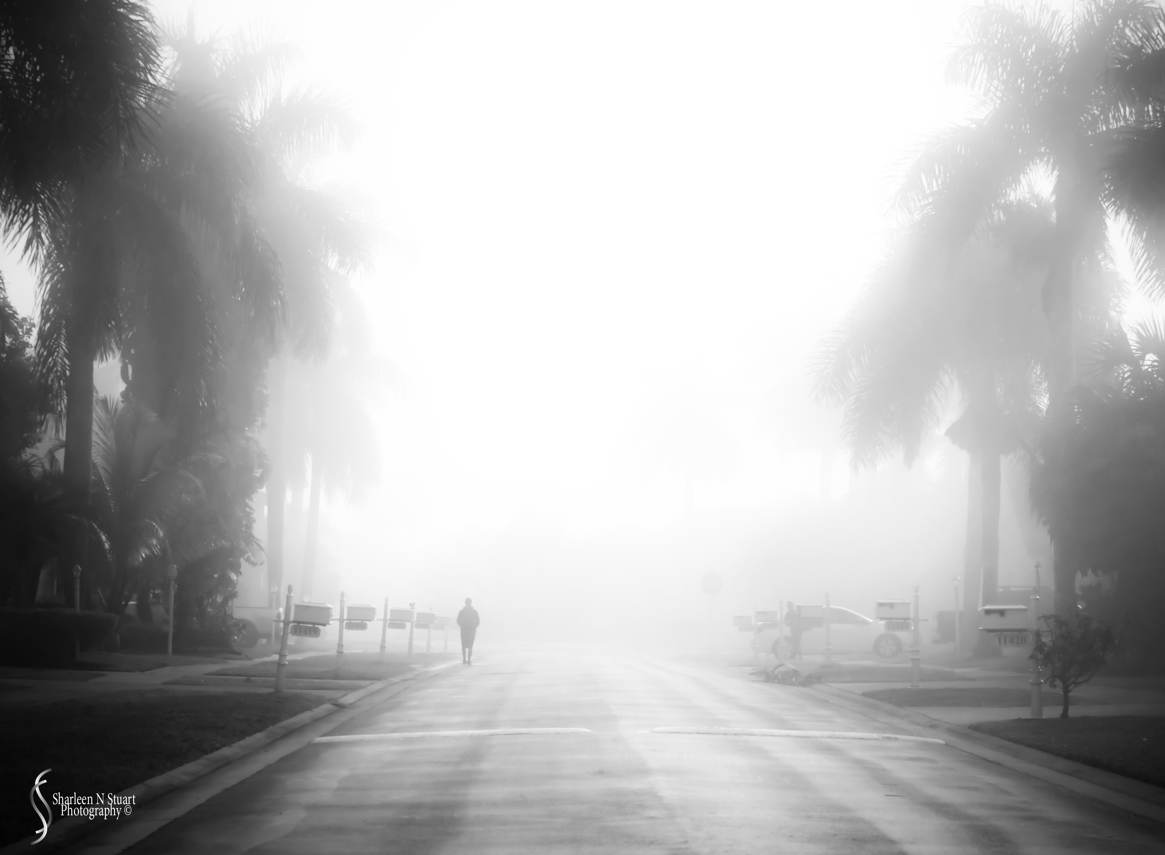 When I left home this morning the fog was so thick that I could not resist taking this photo.