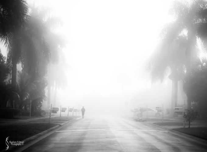 When I left home this morning the fog was so thick that I could not resist taking this photo.