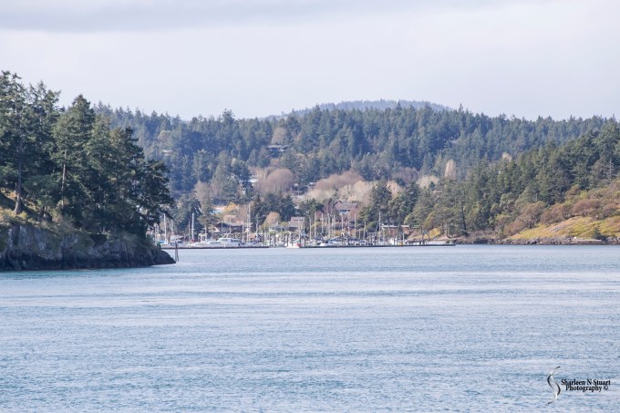 Nestled into this little alcove is Friday Harbor. I am looking forward to spending time exploring the island. Hopefully we will not get wet but more about that in the next blog.