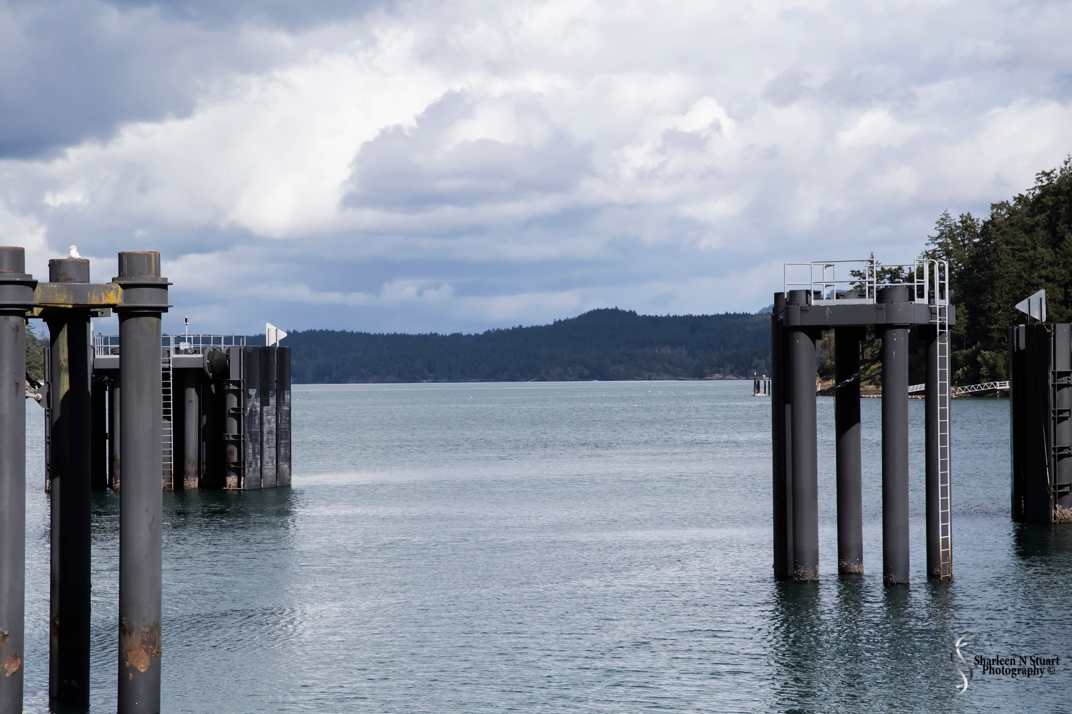 Moorings at Friday Island Harbor