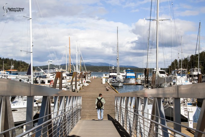 Practicing with the Lensbaby Sweet 35