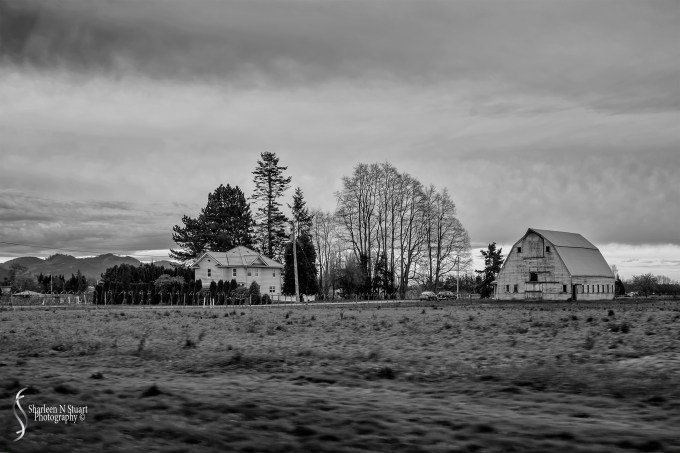 Driving along the highway it is really hard to capture the scenery. The countryside was beautiful.