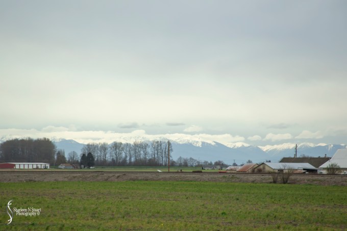 Mountains - that's where we are heading.