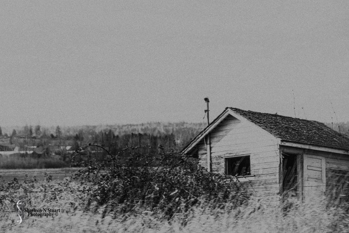 Practicing with the Lensbaby Sweet 35