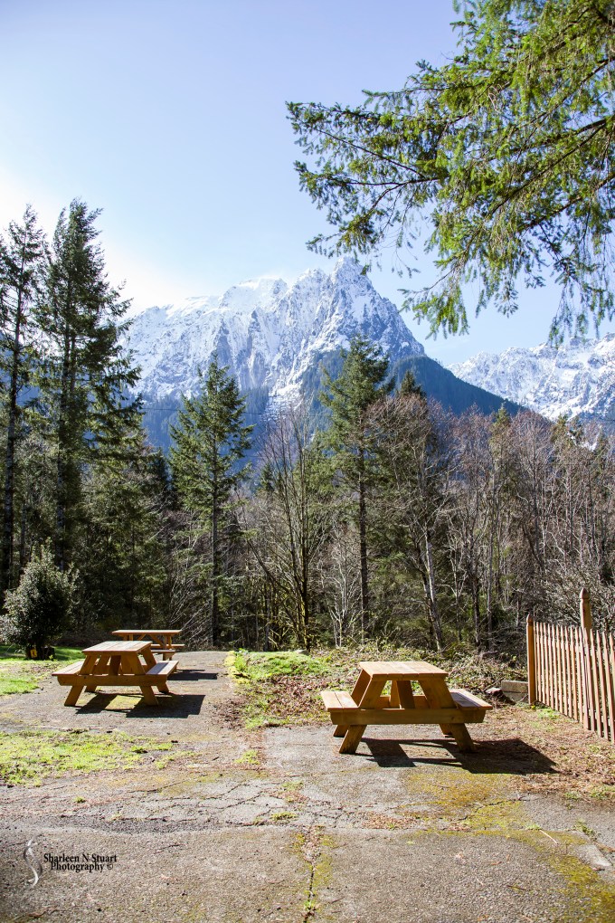 The view from behind the quaint little coffee stop. Majestic mountains.