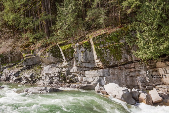 The road we traveled from the Orca Islands to Seattle meandered along the river. In some places it was flat and in others is was rocky and choppyy.