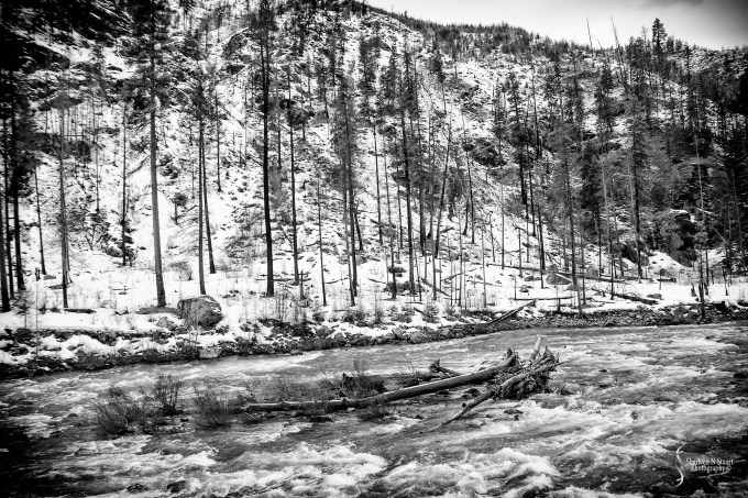 The rushing rivers as a result of the snow.