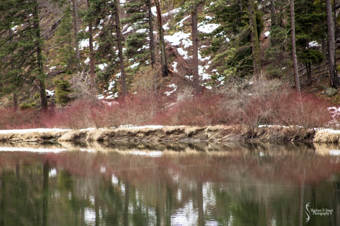 I loved the stillness and peacefulness of this area.