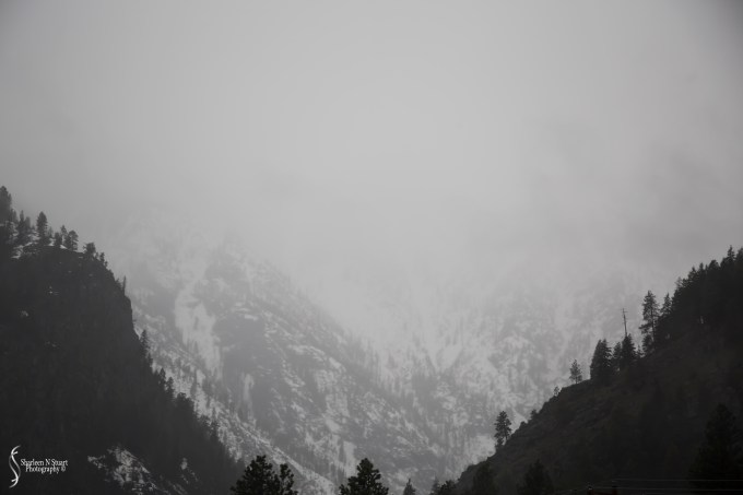 Practicing with the Lensbaby Sweet 35