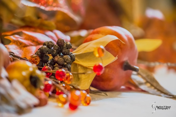 Bonnie's Dinner table