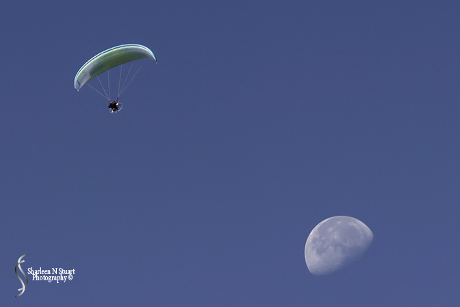 Paraglider and the moon