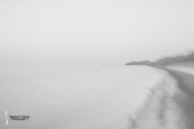 Long Key State Park: Marathon: May 20-23, 2016 0660