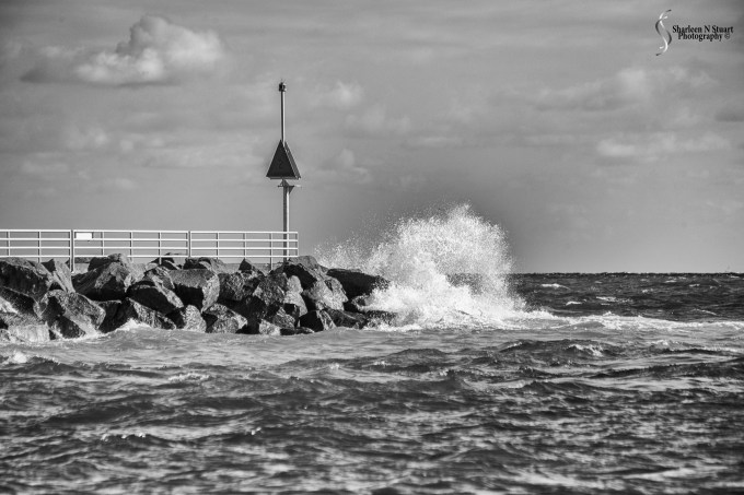 Dubois Park: Jupiter: December 3, 2016 4694