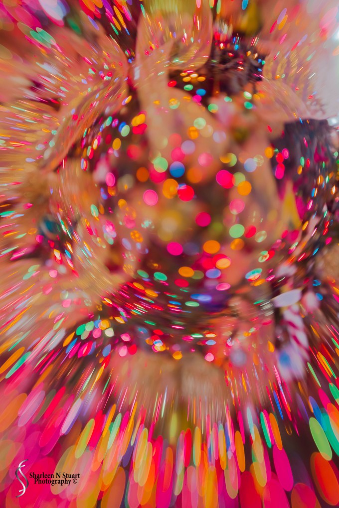 Christmas Party: December 9, 2016 4813