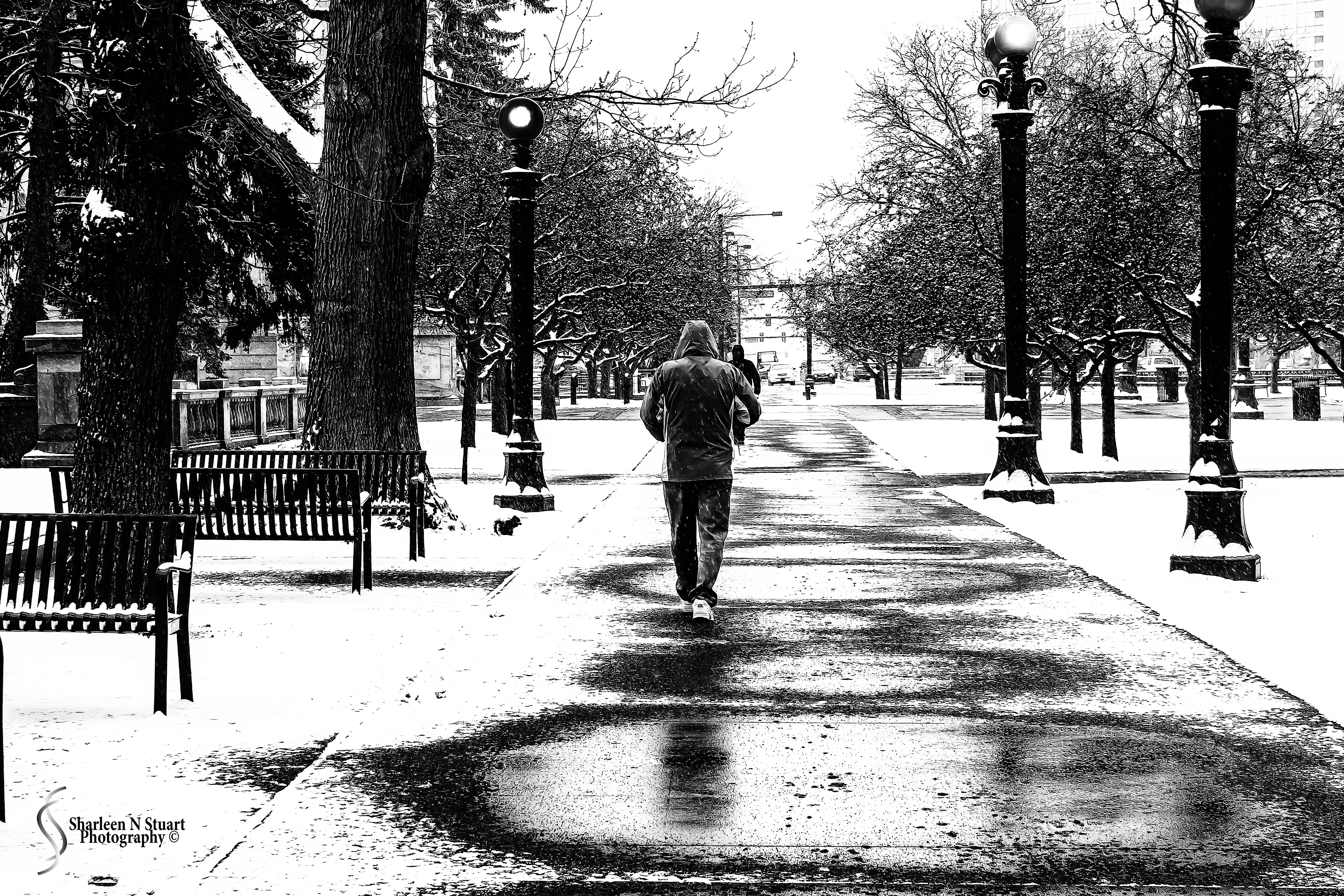 We woke up on the 3rd day to a vision of white. Darn cold outside Property of Sharleen N Stuart Photography - All rights reserved