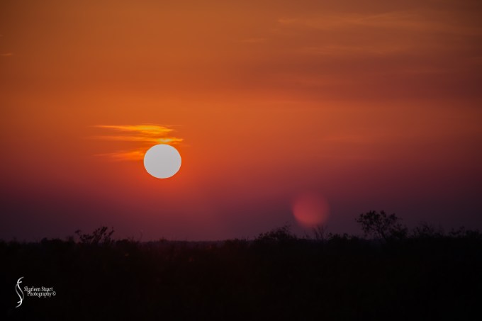 A.R.M Loxahatchee National Park: January 26, 2017: 7202
