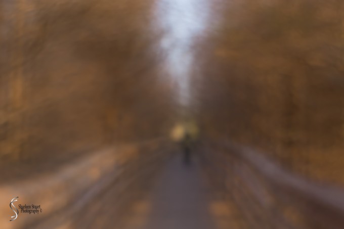 Deliberate blur of the walkway - Lensbaby double glass.