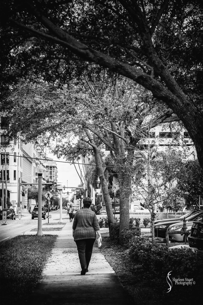 Downtown WPB: February 2, 2017: 7407