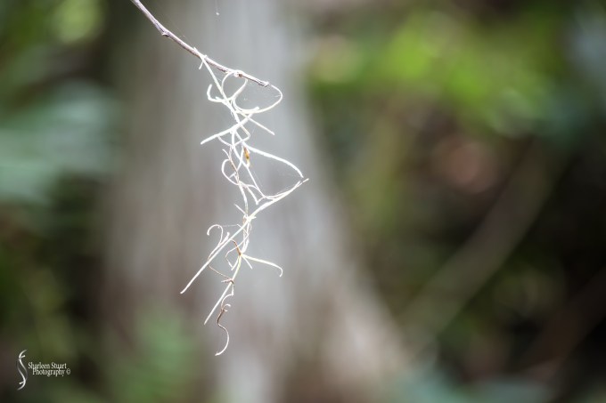 ARM Loxahatchee National Park: April 21, 2017: 2539