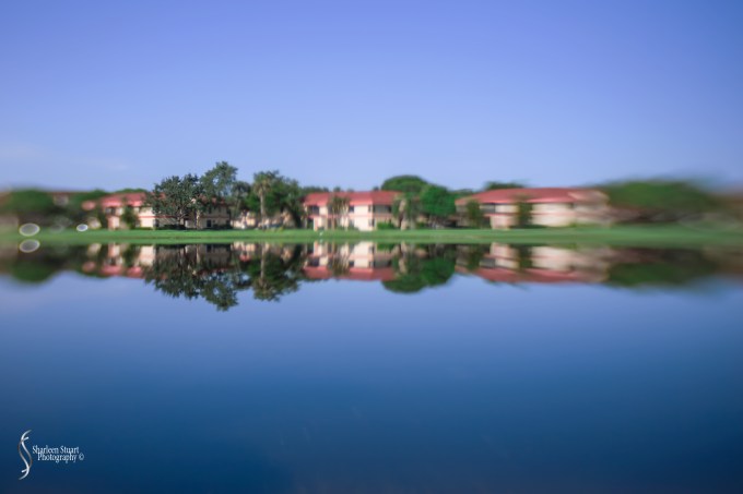 Butterfly World: June 16, 2017: 4451