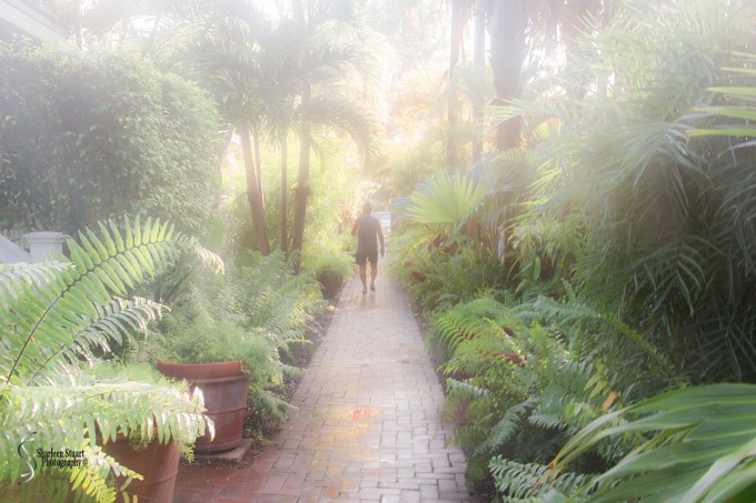 Key West: August 11, 2017 6394