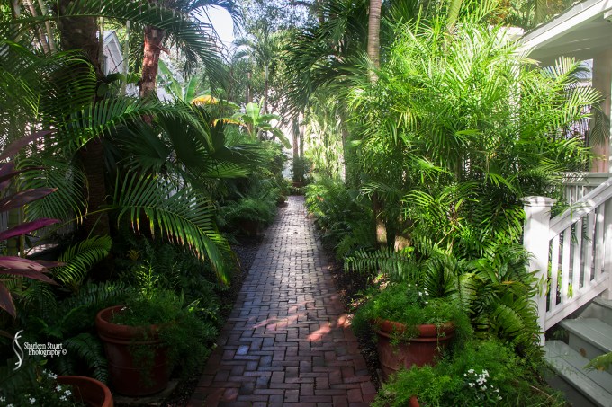 Key West: August 11, 2017 6415