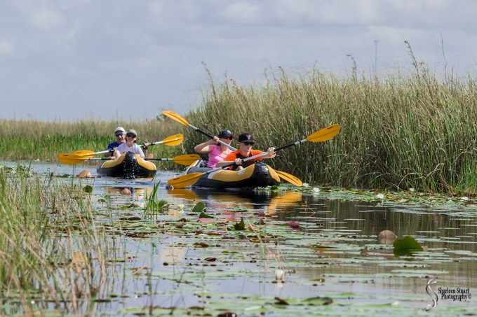 ARM Loxahatchee National Park: August 6 2017: 4971