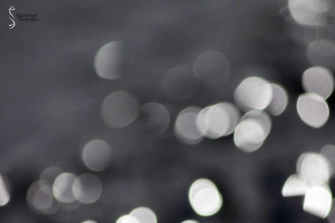 ARM Loxahatchee National Park: August 6 2017: 5105