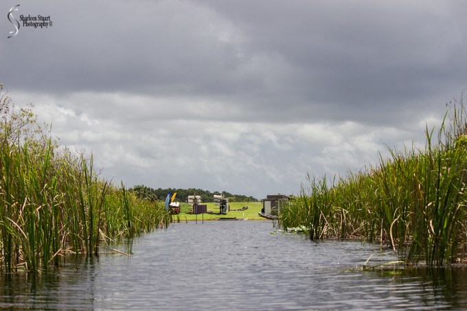 ARM Loxahatchee National Park: August 6: 5116