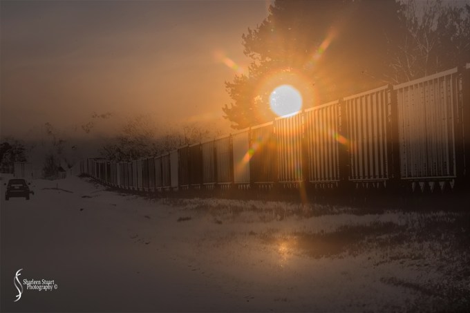 Columbus, Georgia: March 3-9, 2015: 3681