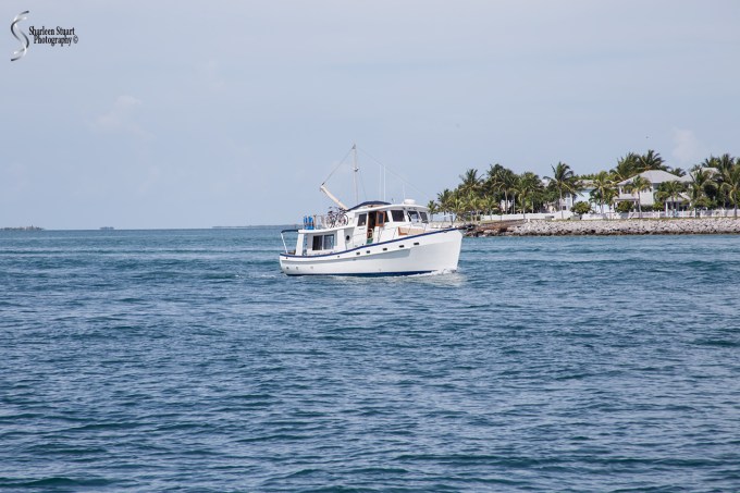 Key West: August 11, 2017: 6119