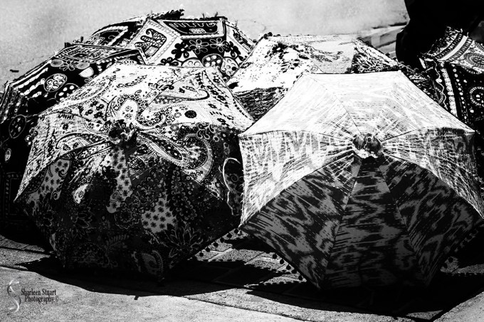 Key West: August 11, 2017: 6153