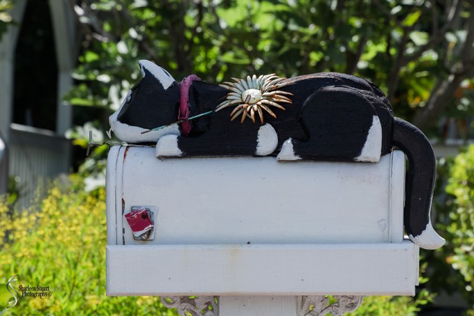 Key West: August 11, 2017: 6163