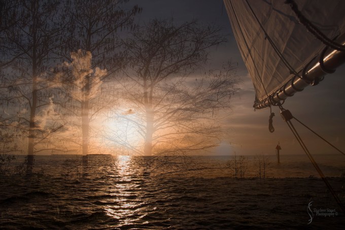 Key West: August 11, 2017 6306