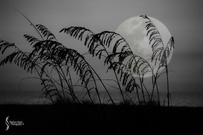 St Augustine: September 1-7, 2013