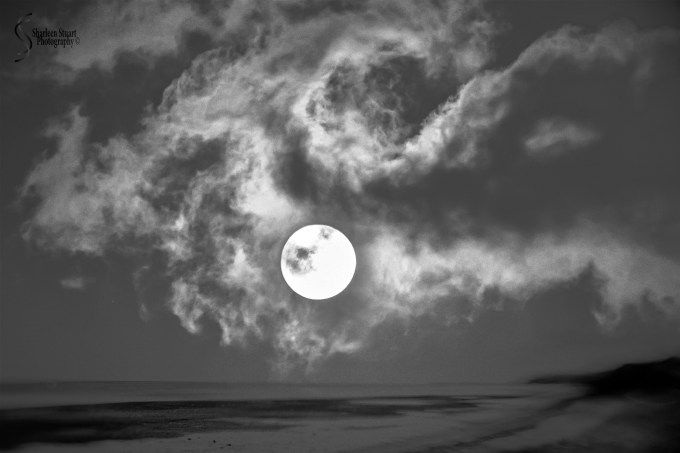 Long Key State Park: Marathon: May 20-23, 2016 0567