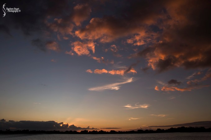 South County Park: November 3, 2017: 6731