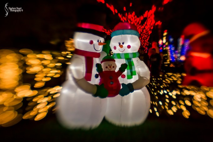 Winter Wonderland November 21, 2017: 7202