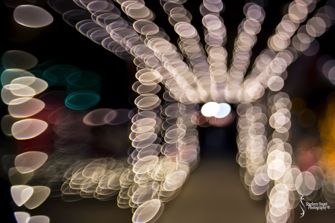 Winter Wonderland November 21, 2017: 7278