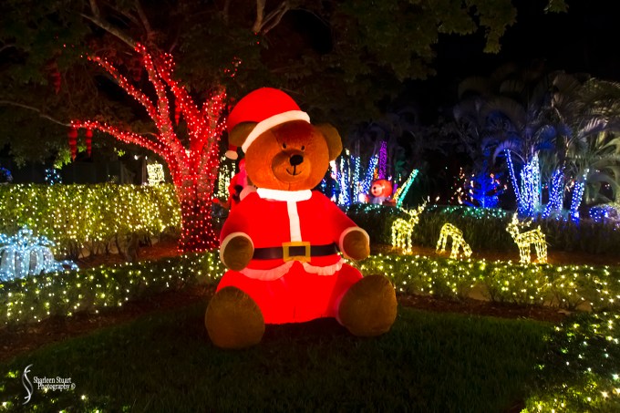 Winter Wonderland November 21, 2017: 7287